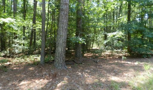 Photo #3 of Lot B6 SALTWORKS RD, JAMESVILLE, VA 4.4 acres