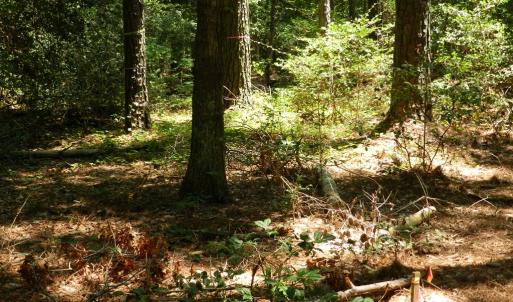 Photo #8 of Lot B6 SALTWORKS RD, JAMESVILLE, VA 4.4 acres