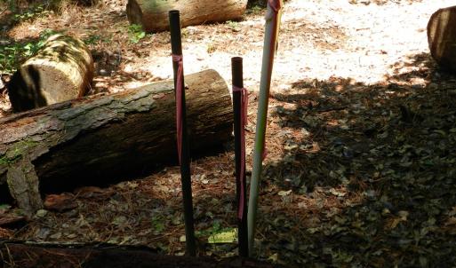 Photo #9 of Lot B6 SALTWORKS RD, JAMESVILLE, VA 4.4 acres