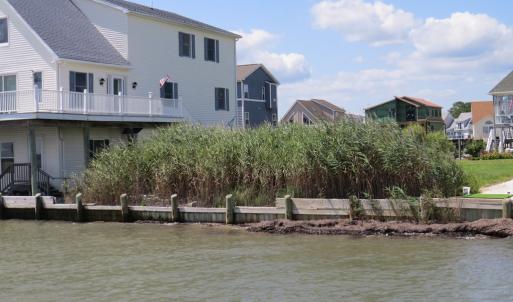 Photo #7 of LOT 1000 BAYSIDE DR, GREENBACKVILLE, VA 9,500.0 acres