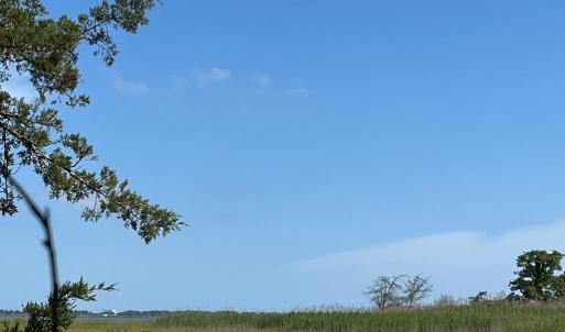 Photo #13 of N/A CHINCOTEAGUE RD, WALLOPS ISLAND, VA 51.0 acres