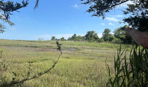 Photo #14 of N/A CHINCOTEAGUE RD, WALLOPS ISLAND, VA 51.0 acres