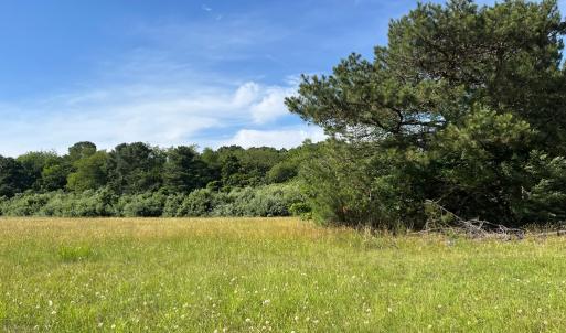 Photo #16 of N/A CHINCOTEAGUE RD, WALLOPS ISLAND, VA 51.0 acres