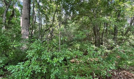 Photo #17 of N/A CHINCOTEAGUE RD, WALLOPS ISLAND, VA 51.0 acres