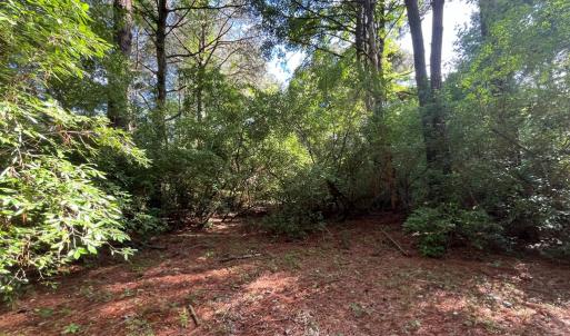 Photo #21 of N/A CHINCOTEAGUE RD, WALLOPS ISLAND, VA 51.0 acres