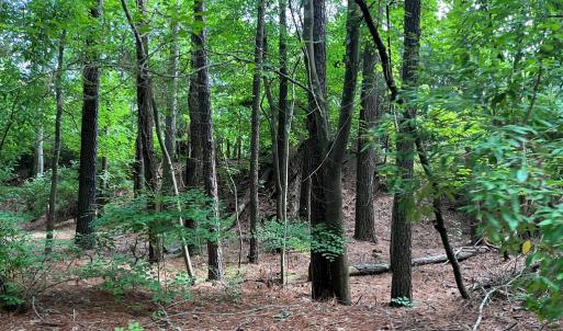 Photo #22 of N/A CHINCOTEAGUE RD, WALLOPS ISLAND, VA 51.0 acres
