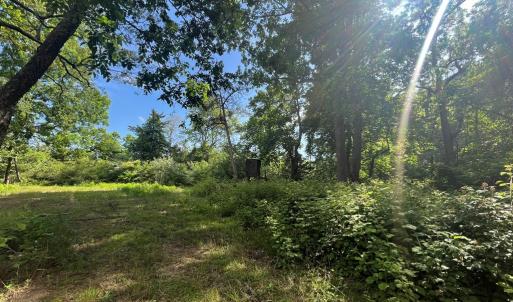 Photo #24 of N/A CHINCOTEAGUE RD, WALLOPS ISLAND, VA 51.0 acres