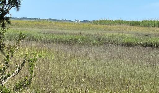 Photo #26 of N/A CHINCOTEAGUE RD, WALLOPS ISLAND, VA 51.0 acres