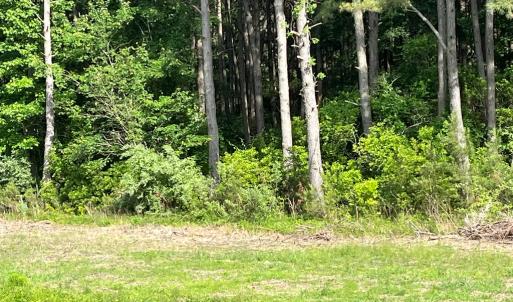 Photo #5 of N/A CHINCOTEAGUE RD, WALLOPS ISLAND, VA 51.0 acres