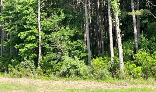 Photo #6 of N/A CHINCOTEAGUE RD, WALLOPS ISLAND, VA 51.0 acres