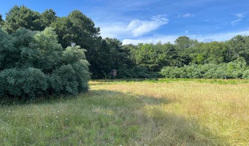 Photo #8 of N/A CHINCOTEAGUE RD, WALLOPS ISLAND, VA 51.0 acres