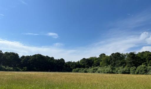 Photo #9 of N/A CHINCOTEAGUE RD, WALLOPS ISLAND, VA 51.0 acres