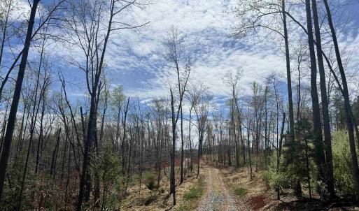 Photo #2 of 0 WILLOW BRANCH LN, FABER, VA 17.2 acres