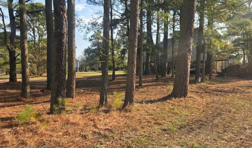 Almost Cleared lot, You can now see how your house would look sitting on this lot overlooking the waterway.