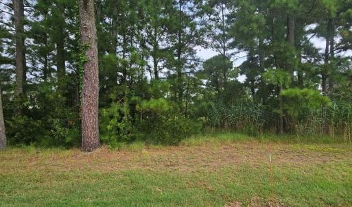 Beautiful Lot, Build your dream home here and enjoy all the Chincoteague Island has to offer