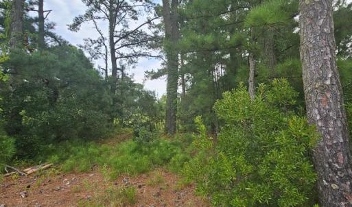 Lot-2, This lot is ready to place your beach home on.