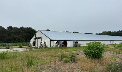 Photo #10 of 25495 SAXIS RD, TEMPERANCEVILLE, VA 10.0 acres