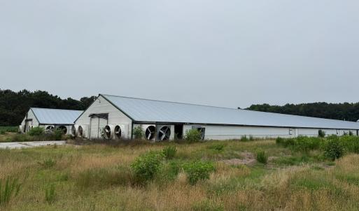 Photo #11 of 25495 SAXIS RD, TEMPERANCEVILLE, VA 10.0 acres