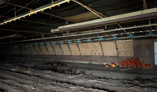 Photo #16 of 25495 SAXIS RD, TEMPERANCEVILLE, VA 10.0 acres