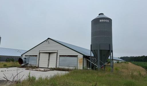 Photo #9 of 25495 SAXIS RD, TEMPERANCEVILLE, VA 10.0 acres