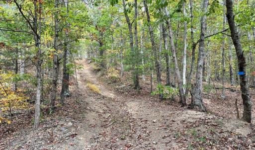 Photo #5 of 0 BROOK DR, HOT SPRINGS, VA 155.0 acres