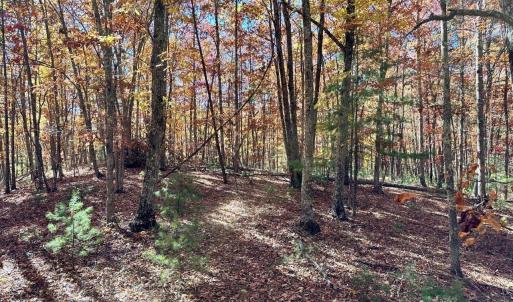 Photo #12 of 0 BROOK DR, HOT SPRINGS, VA 155.0 acres