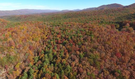 Photo #17 of 0 BROOK DR, HOT SPRINGS, VA 155.0 acres