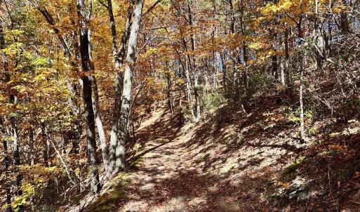Photo #11 of 0 BROOK DR, HOT SPRINGS, VA 155.0 acres