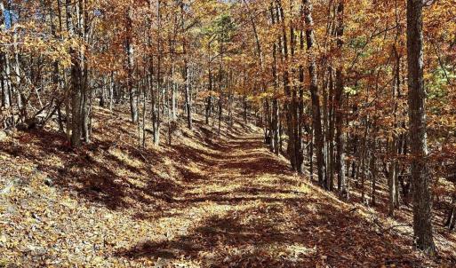 Photo #8 of 0 BROOK DR, HOT SPRINGS, VA 155.0 acres