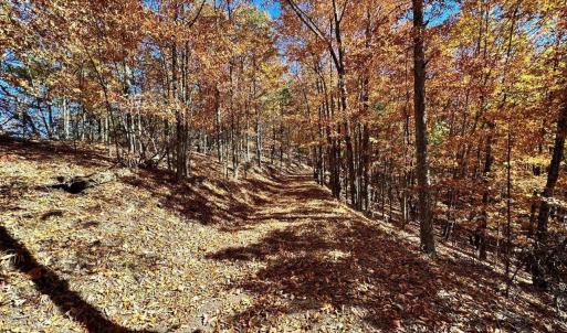 Photo #9 of 0 BROOK DR, HOT SPRINGS, VA 155.0 acres