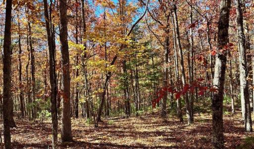 Photo #14 of 0 BROOK DR, HOT SPRINGS, VA 155.0 acres