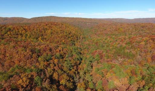 Photo #15 of 0 BROOK DR, HOT SPRINGS, VA 155.0 acres