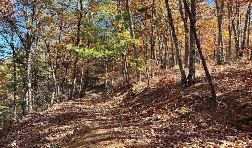 Photo #7 of 0 BROOK DR, HOT SPRINGS, VA 155.0 acres