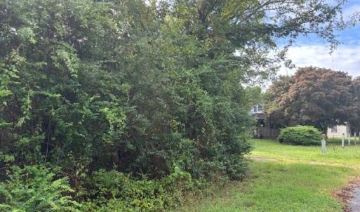 Photo #10 of lot 50 BLUEBERRY DR, CAPE CHARLES, VA 0.5 acres