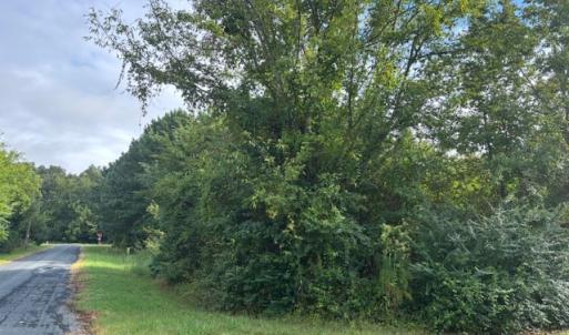 Photo #3 of lot 50 BLUEBERRY DR, CAPE CHARLES, VA 0.5 acres