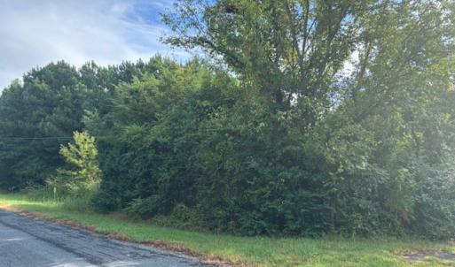 Photo #4 of lot 50 BLUEBERRY DR, CAPE CHARLES, VA 0.5 acres