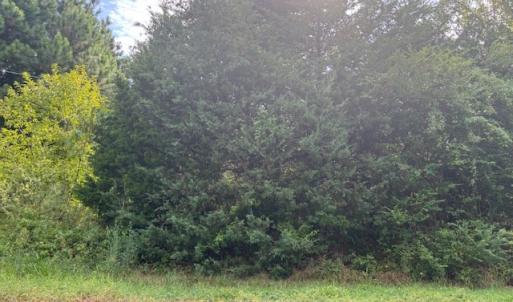 Photo #6 of lot 50 BLUEBERRY DR, CAPE CHARLES, VA 0.5 acres