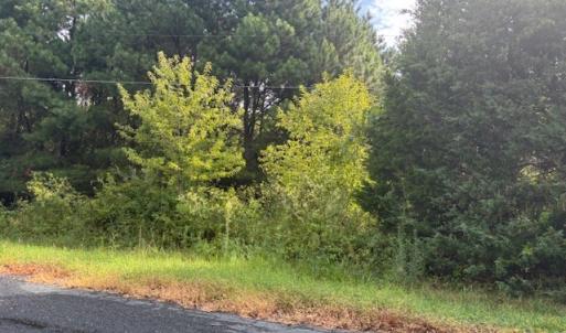 Photo #7 of lot 50 BLUEBERRY DR, CAPE CHARLES, VA 0.5 acres