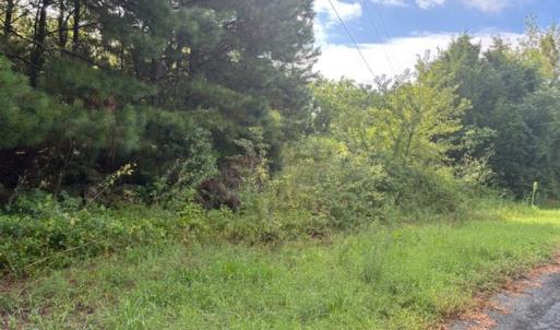 Photo #8 of lot 50 BLUEBERRY DR, CAPE CHARLES, VA 0.5 acres