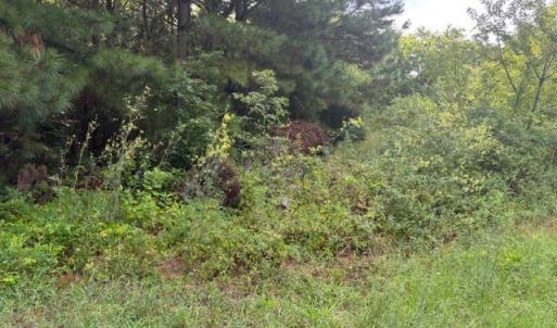 Photo #9 of lot 50 BLUEBERRY DR, CAPE CHARLES, VA 0.5 acres
