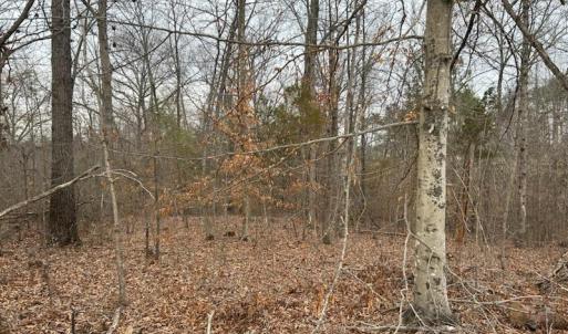 Photo #2 of 975 HARDWARE RD, SCOTTSVILLE, VA 2.5 acres