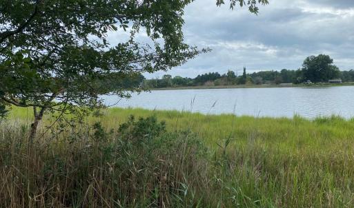 Photo #4 of Lot 8 MINK FARM RD, ONANCOCK, VA 6.3 acres