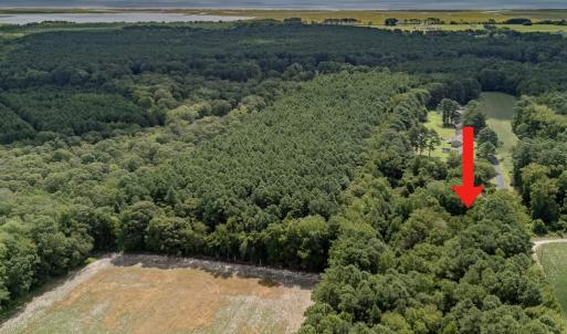 Photo #3 of Lot 79D WHITES NECK RD, PARKSLEY, VA 1.2 acres