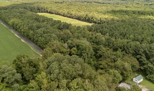 Photo #3 of Lot 11 WHITES NECK RD, PARKSLEY, VA 0.6 acres