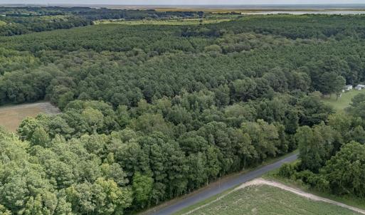 Photo #3 of 2.35 AC WHITES NECK RD, PARKSLEY, VA 2.4 acres