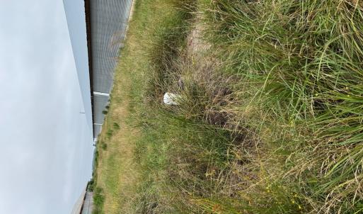 Photo #27 of 7193 BULLBEGGAR RD, WITHAMS, VA 18.0 acres