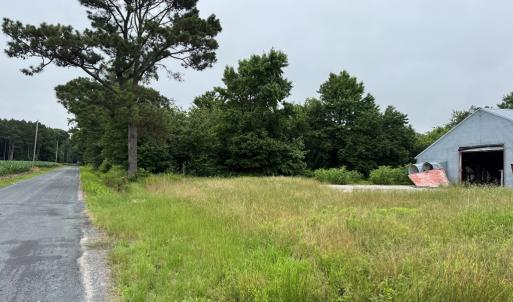 Photo #30 of 7193 BULLBEGGAR RD, WITHAMS, VA 18.0 acres