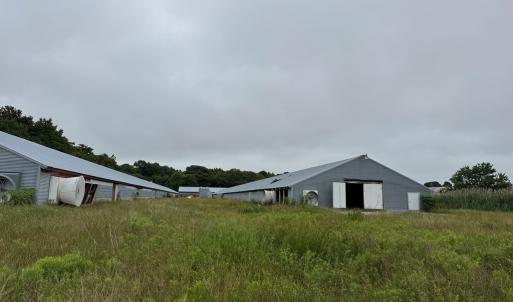 Photo #32 of 7193 BULLBEGGAR RD, WITHAMS, VA 18.0 acres