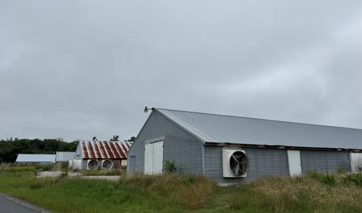 Photo #51 of 7193 BULLBEGGAR RD, WITHAMS, VA 18.0 acres