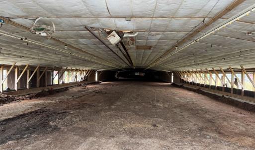 Photo #8 of 7193 BULLBEGGAR RD, WITHAMS, VA 18.0 acres